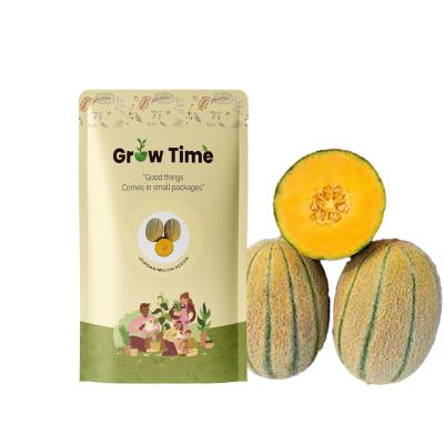 Melon Seeds